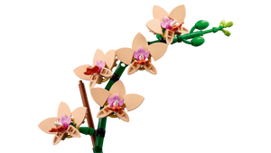 LEGO 10343 - The Botanical Collection Mini-Orchidee