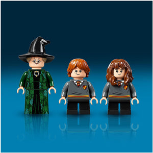 LEGO 76382 - Hogwarts™ Moment: Verwandlungsunterricht
