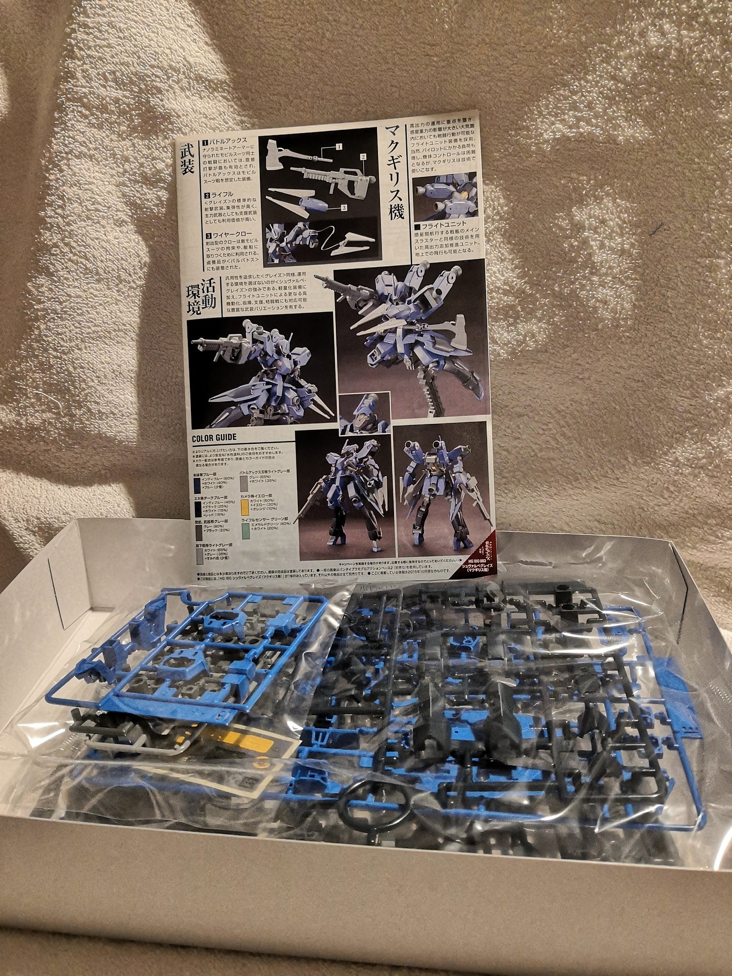 1/144 Scale Model Mcgillis Schwalbe Graze